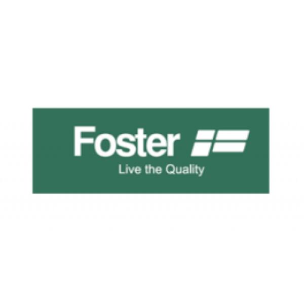 Foster 9700528 Filtro carbone