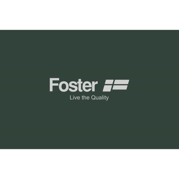 Foster 9700601 Filtro carbone